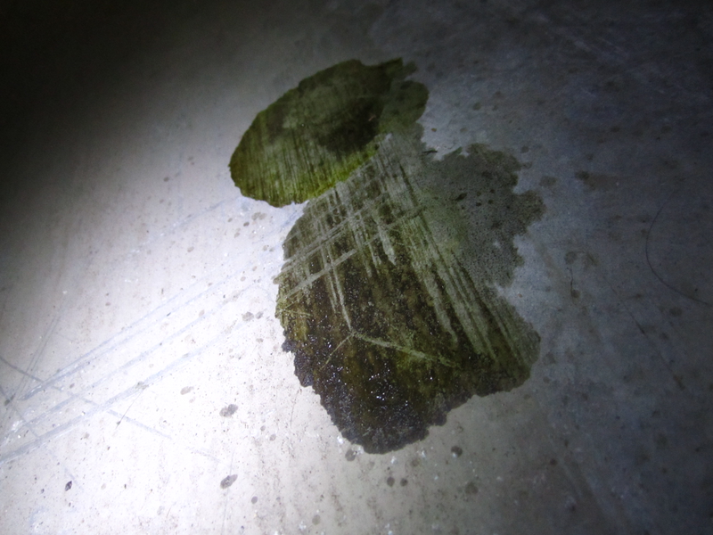 Illustration for article titled Project Cruise Missile: Looks like I'll be needing a new gas tank.